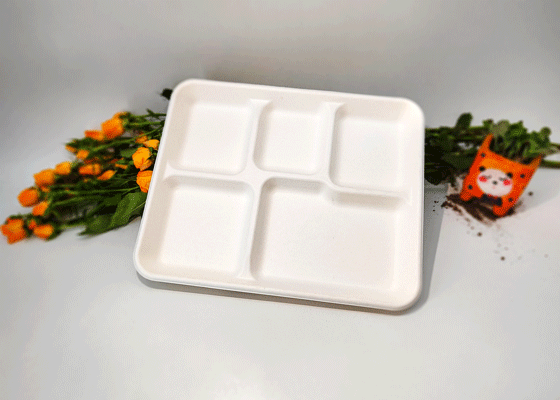  5 Compartments Tray