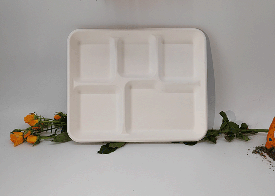 5 Compartments Tray