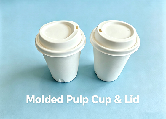Moldedpulp product cup&lid machine