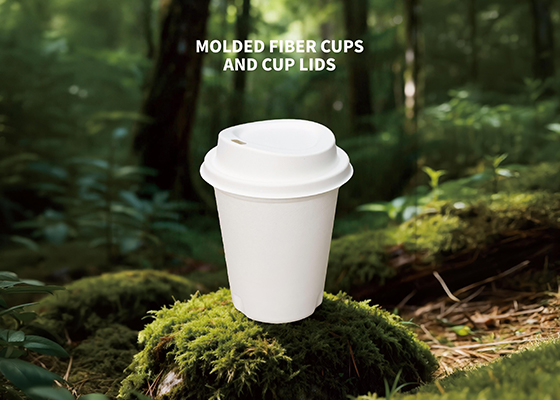 Moldedpulp product cup&lid machine