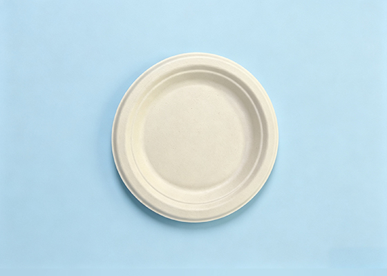 6＂、7＂、9＂、10＂Unbleach Round Plate
