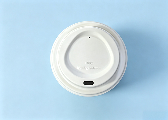 Molded Pulp Cup Lid